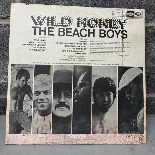Vintage 'Wild Honey - The Beach Boys' vinyl record album cover, photographed flat against a dark textured concrete wall.