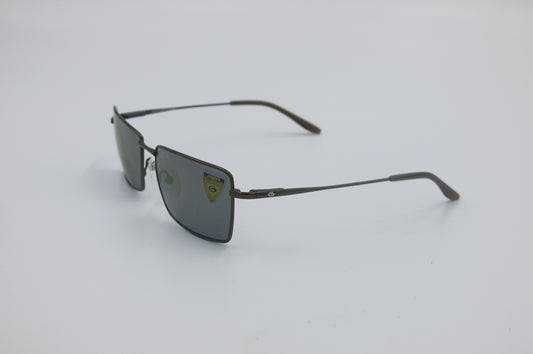polarized gargoyles sunglasses