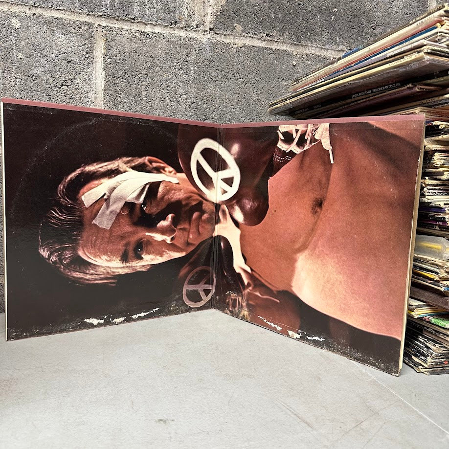 Frank Zappa / The Mothers – Playground Psychotics