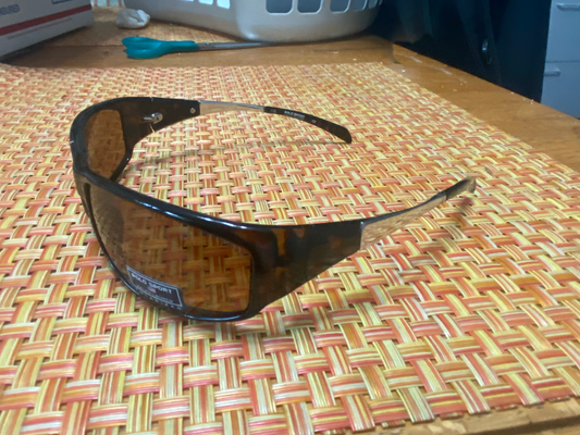 Polo Sport Sunglasses 1087s