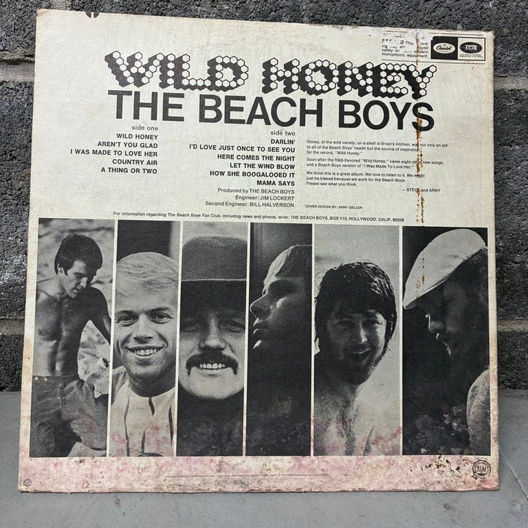 Vintage 'Wild Honey - The Beach Boys' vinyl record album cover, photographed flat against a dark textured concrete wall.