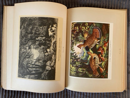 VTG Hardcover Book CURRIER & IVES Printmakers to the American People 1942