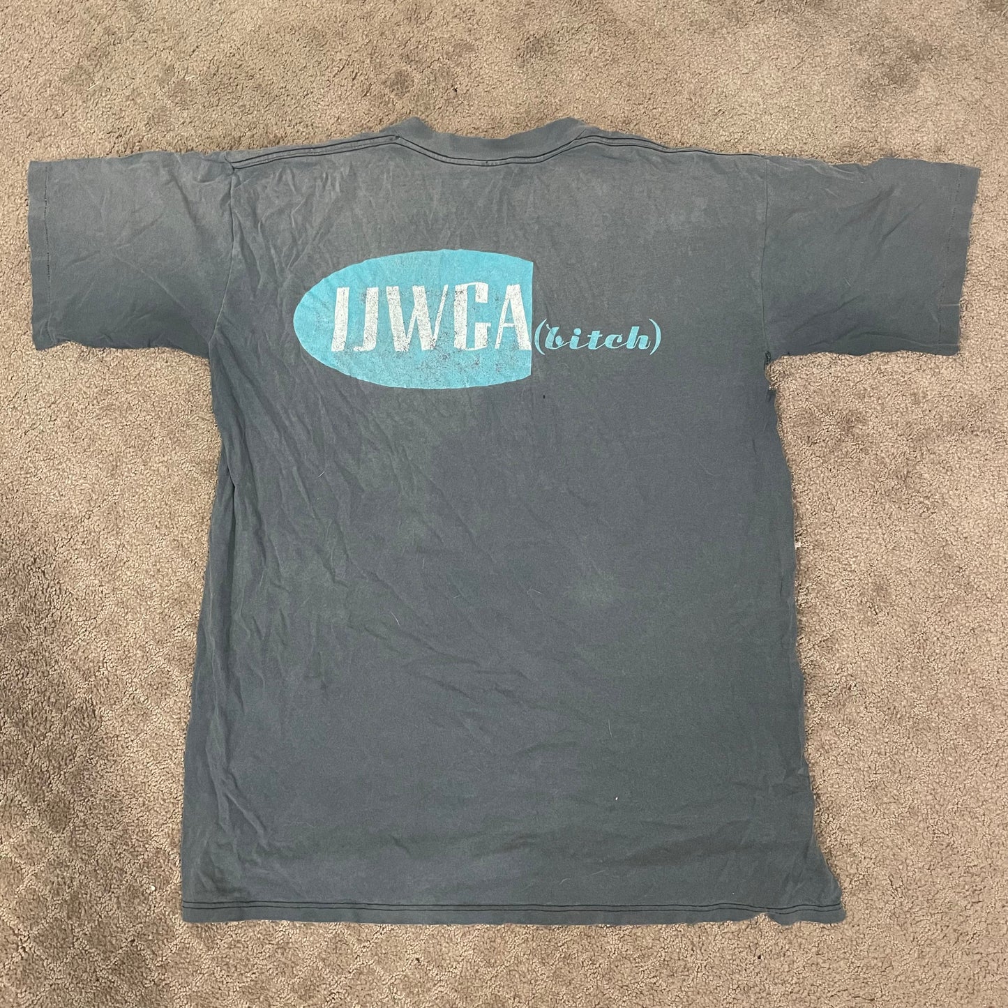 Vintage 1990s Single stitch “the Breeders” band tee