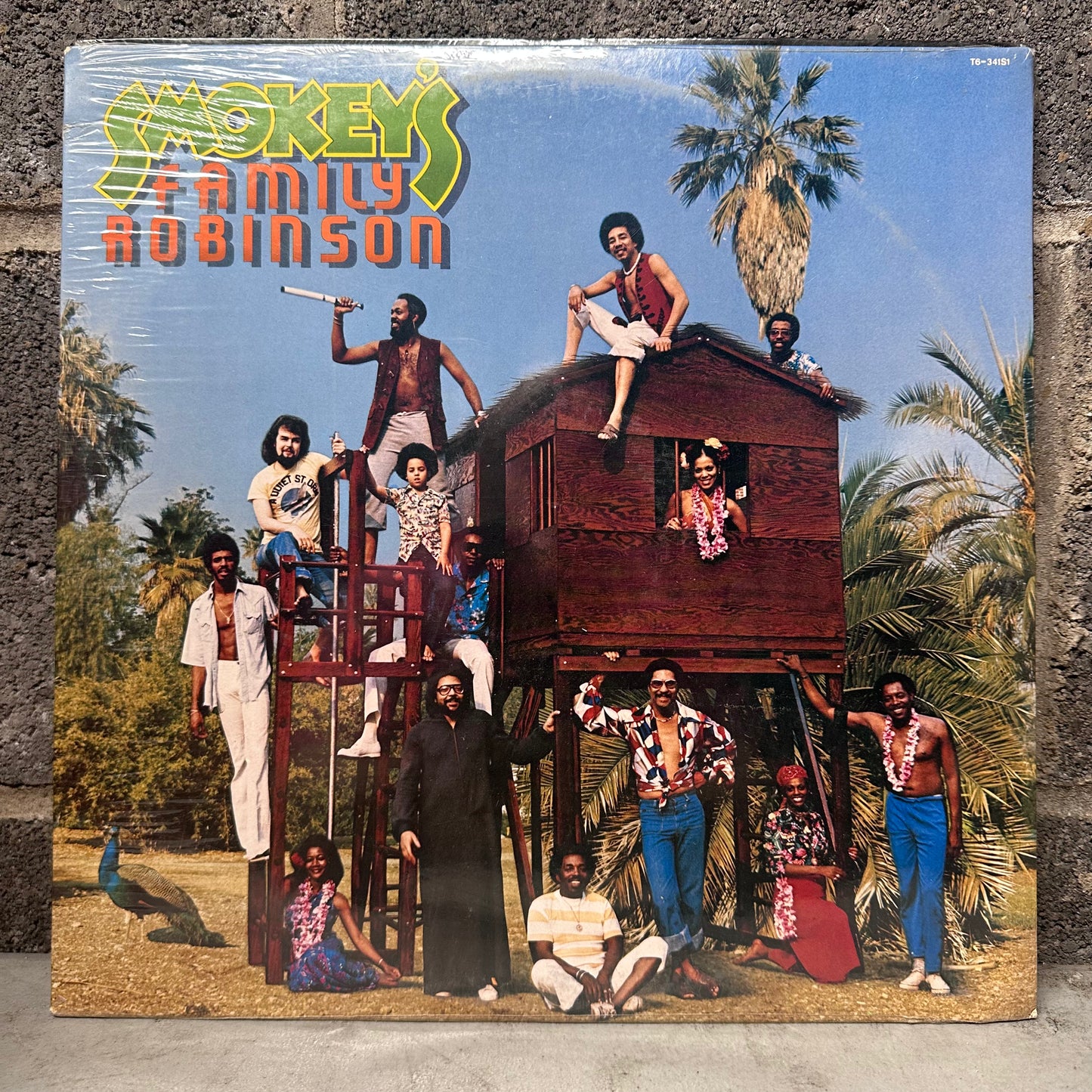 Smokey’s Family Robinson – Smokey’s Family Robinson