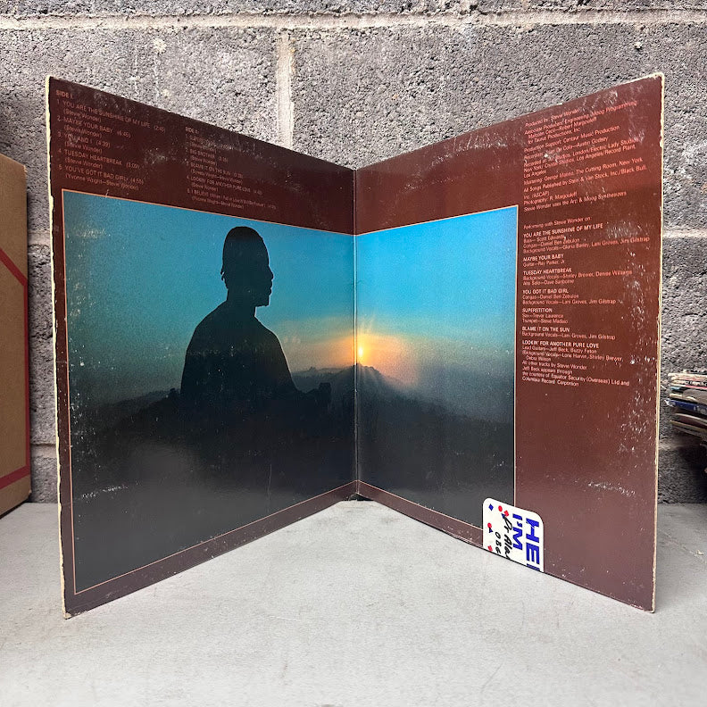 Stevie Wonder – Talking Book