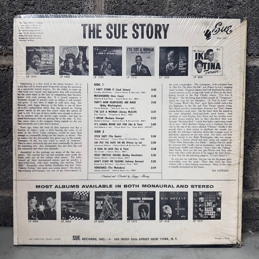 The Sue Story – Chapter 1