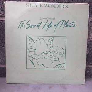 Stevie Wonder – Journey Through The Secret Life of Plants