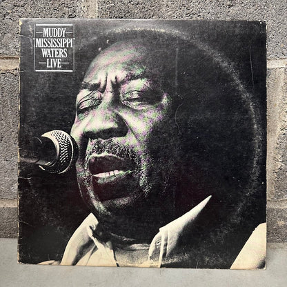 Muddy Mississippi Waters- Johnny winter