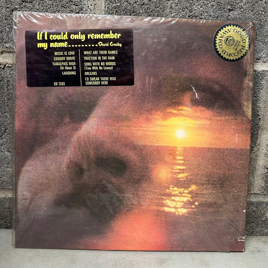 David Crosby- If I Could Only Remember My Name