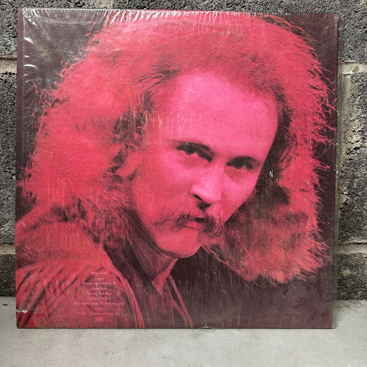 David Crosby- If I Could Only Remember My Name
