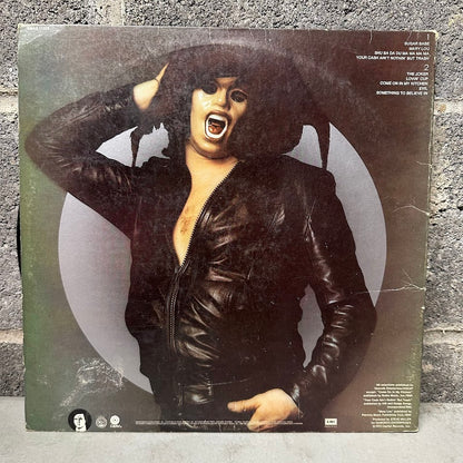 Steve Miller Band – The Joker