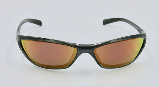 NIKE Sunglasses EVO161 Dark Gray - Friedman & Sons